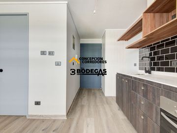 DEPARTAMENTO LOFT 1D(ABAJO)+1B SANTIAGO SECTOR METRO ULA