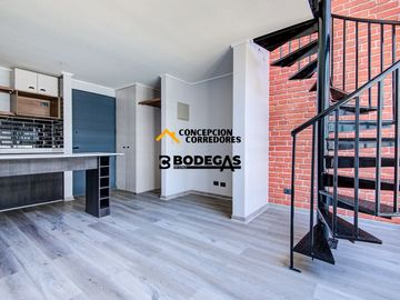 DEPARTAMENTO LOFT 1D(ARRIBA)+1B SANTIAGO SECTOR METRO ULA