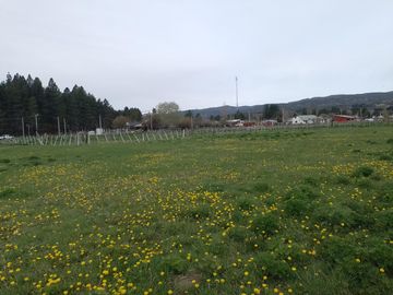 Terreno en  Cholila