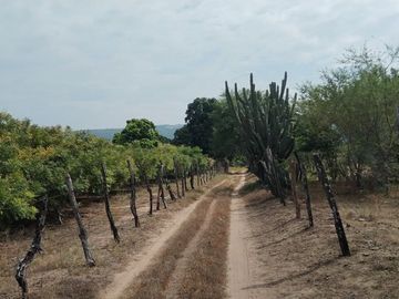 RANCHO EN GALECIO NARCIA, CHIAPA DE CORZO