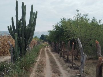 RANCHO EN GALECIO NARCIA, CHIAPA DE CORZO