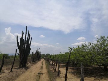 RANCHO EN GALECIO NARCIA, CHIAPA DE CORZO