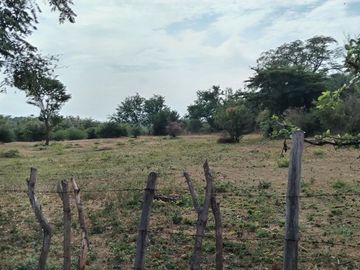 RANCHO EN GALECIO NARCIA, CHIAPA DE CORZO