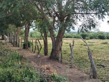 RANCHO EN GALECIO NARCIA, CHIAPA DE CORZO