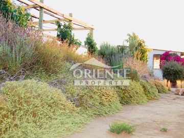 HERMOSA PARCELA DE AGRADO EN CUNCUMÉN