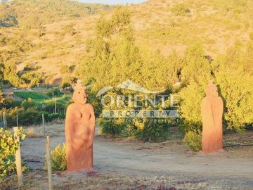 HERMOSA PARCELA DE AGRADO EN CUNCUMÉN