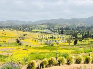 HERMOSA PARCELA DE AGRADO EN CUNCUMÉN