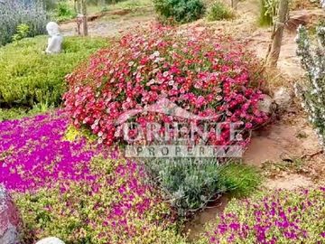 HERMOSA PARCELA DE AGRADO EN CUNCUMÉN