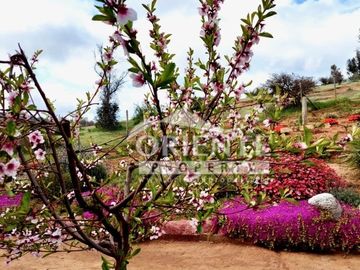 HERMOSA PARCELA DE AGRADO EN CUNCUMÉN
