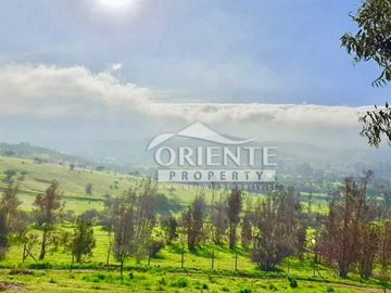 HERMOSA PARCELA DE AGRADO EN CUNCUMÉN