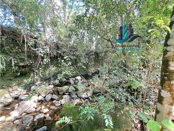 VENDO CASA Y TERRENO DE 1856M2 BORDEADO X RIO EN BOQUERON
