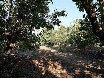 Parcela en Venta en Quillota Urbano