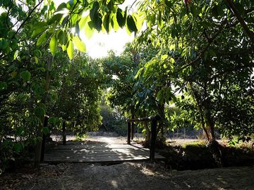 Parcela en Venta en Quillota Urbano