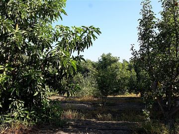 Parcela en Venta en Quillota Urbano