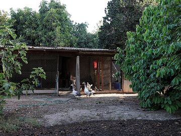 Parcela en Venta en Quillota Urbano