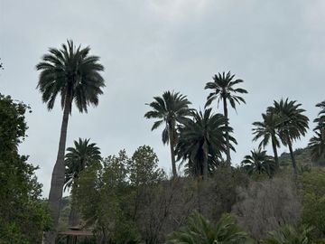 Parcela en Venta en Reserva Oasis la campana, hijuelas