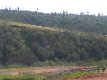 Parcela en Venta en Camino interior Valle Verde Mar