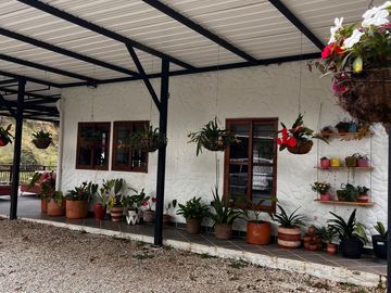 Venta de Finca en Vereda San Luis, Rionegro