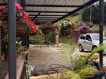Venta de Finca en Vereda San Luis, Rionegro