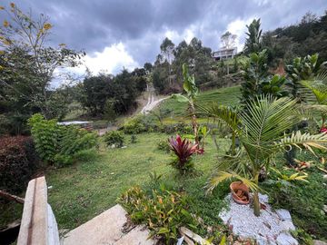 Venta de Finca en Vereda San Luis, Rionegro