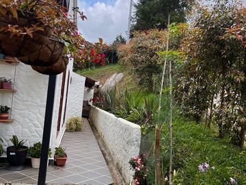 Venta de Finca en Vereda San Luis, Rionegro