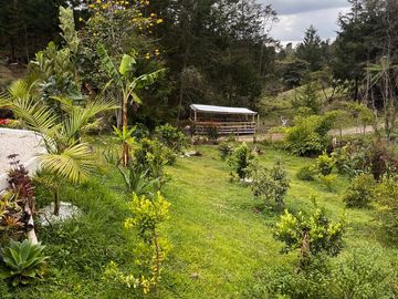 Venta de Finca en Vereda San Luis, Rionegro