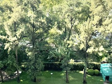 Departamento en  Alquiler en Tigre