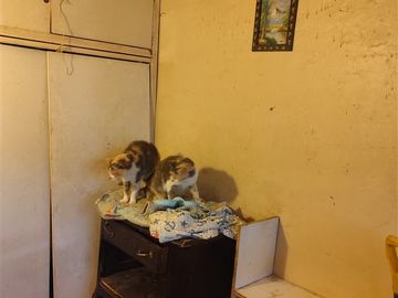 Casa en Venta en Larga