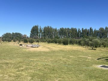 Finca en Cuadro Benegas