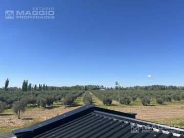Finca en Cuadro Benegas