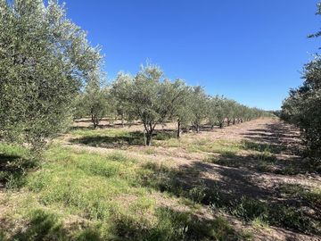 Finca en Cuadro Benegas