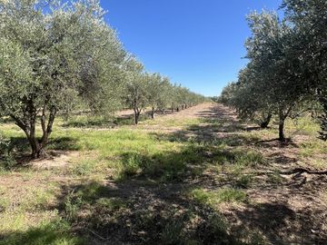 Finca en Cuadro Benegas