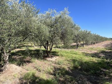Finca en Cuadro Benegas