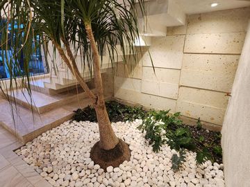Casa en Venta en Altozano Fraccionamiento privado