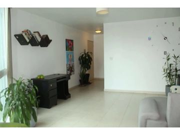 Se Vende Apartamento En Bella Vista Parque Urraca | PH 44 & Park