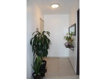 Se Vende Apartamento En Bella Vista Parque Urraca | PH 44 & Park