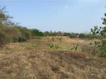 Vendo Finca en Punta Barco ID5458JD
