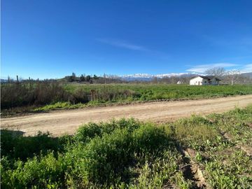 Venta Parcela 5000 m2 en condominio El Guindal  Calle Larga