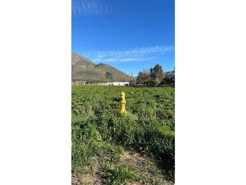 Venta Parcela 5000 m2 en condominio El Guindal  Calle Larga