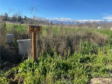 Venta Parcela 5000 m2 en condominio El Guindal  Calle Larga