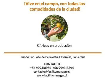 Parcela en Venta en Ruta D305 Las Rojas