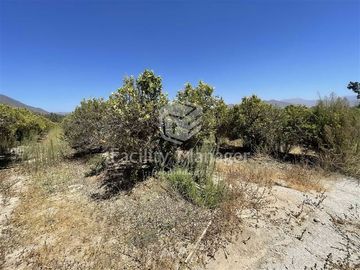 Parcela en Venta en Ruta D305 Las Rojas