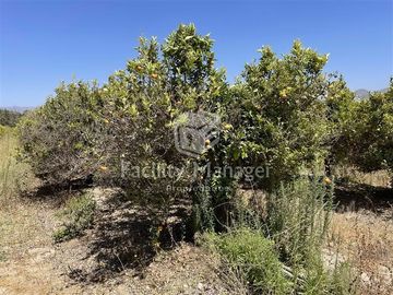 Parcela en Venta en Ruta D305 Las Rojas