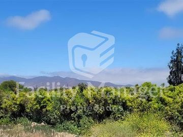 Parcela en Venta en Ruta D305 Las Rojas