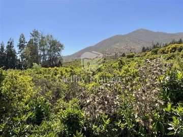Parcela en Venta en Ruta D305 Las Rojas