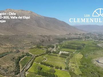Parcela en Venta en Ruta D305 Las Rojas
