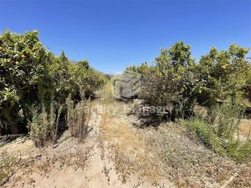 Parcela en Venta en Ruta D305 Las Rojas