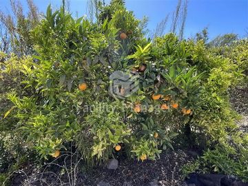 Parcela en Venta en Ruta D305 Las Rojas