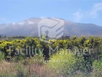 Parcela en Venta en Ruta D305 Las Rojas