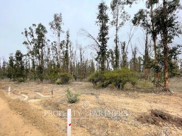 Hermosa parcela de 10.000 m/2 en Condominio La Foresta de Zapallar